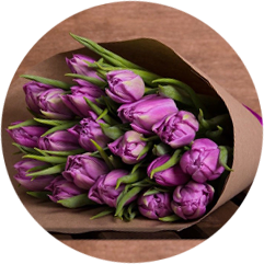 19 тюльпанов