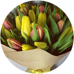 25 тюльпанов