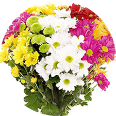 Букет из 15 хризантем