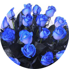 15 синих роз
