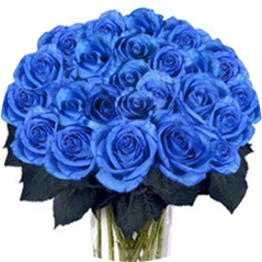 25 синих роз